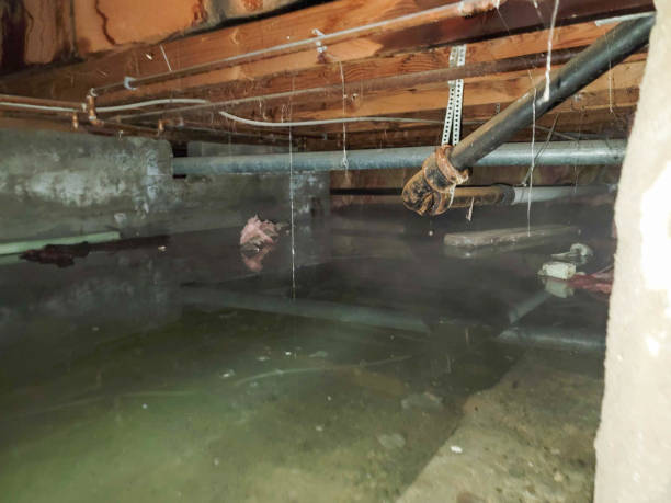 Professional Water damage restoration in Mansfield Center, MA
