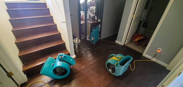 Best Sewage cleanup and water damage restoration  in Nsfield Center, MA