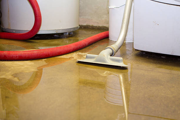 Best Water damage cleanup near me  in Nsfield Center, MA