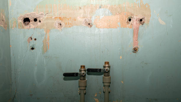 Best Flood damage cleanup  in Nsfield Center, MA
