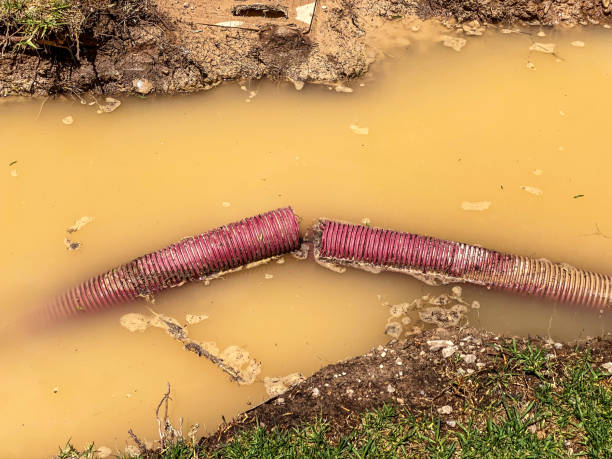 Best 24/7 water damage repair  in Nsfield Center, MA