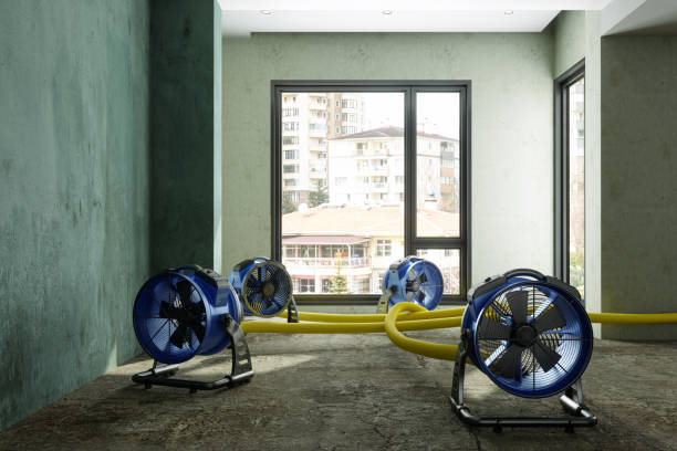 Best Water damage contractors near me  in Nsfield Center, MA