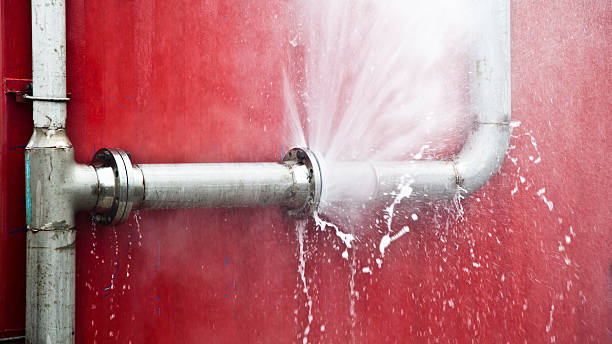 Best Basement water damage restoration  in Nsfield Center, MA