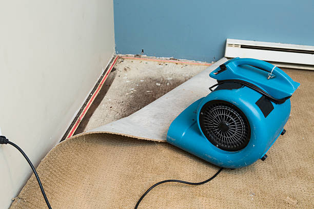 Best Water damage restoration specialists  in Nsfield Center, MA